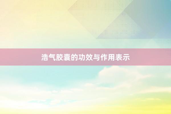 浩气胶囊的功效与作用表示